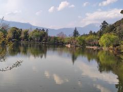 -黑龙潭公园