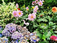 -庐山风景区花径公园