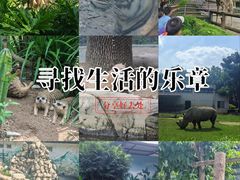 -深圳野生动物园