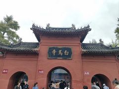 -洛阳宴·洛阳菜(南昌路店)