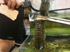-ZF Seafood Restaurant 卓峰海鲜餐