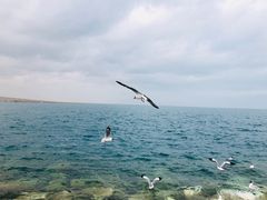 -青海湖国家重点风景名胜区