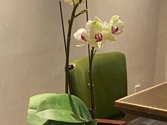 -BOCATA 西班牙餐厅(三里屯店)