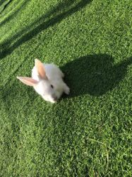 -萌宠亲子动物乐园(槐房万达店)