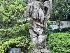 -汇龙潭