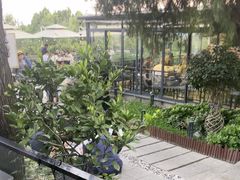 -蘇河湾·新鲁菜·泰山宴(泰山店)