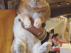 -藦茜花园宠物主题亲子互动体验馆(国顺东路店)