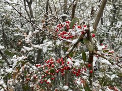 -重庆云阳龙缸景区