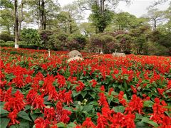 -松山湖南湖湾露营营地