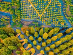 -泗洪洪泽湖湿地景区