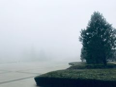 -Tubestation站点比萨(高新万达ONE店)