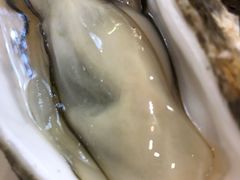 -北方饺子王·海肠捞饭·海鲜锅(山大店)