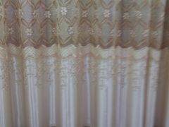 鲜肉粽-璐坊粽王(复兴中路店)