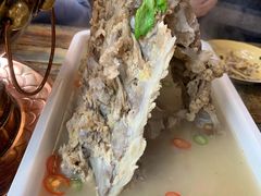 -蛙麻蛙辣炭火蛙锅(南环大街店)