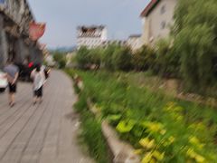 -谭家菜农夫山庄
