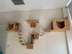 -美联众合动物医院·24h京西诊疗中心