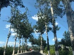 -碓臼峪自然风景区