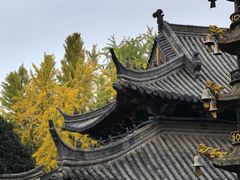 -报恩禅寺