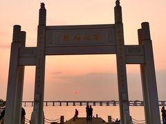 -宝安西湾红树林湿地公园