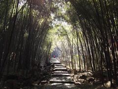 -穹窿山景区