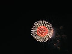 -校村炸鸡(弘大)
