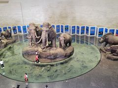 -大庆市博物馆