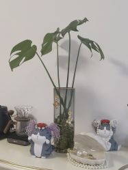 -美肤盾祛痘·问题肌头疗管理中心