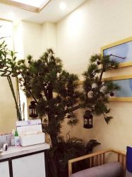 -芳朵美容养生SPA