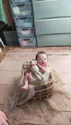 点击看大图 -乐米baby儿童摄影(燕郊店)