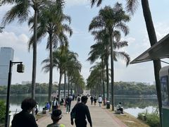 -南宁南湖公园