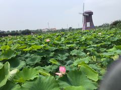 -武汉紫薇都市田园