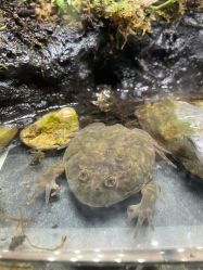 -酷嗒动物文化乐园(cutezoo西溪乐天城店)