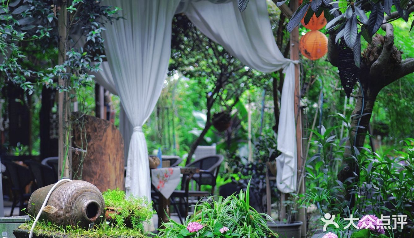 成都下午茶｜森林木屋的悠闲