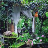 成都下午茶｜森林木屋的悠闲