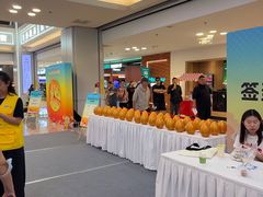 -红星美凯龙北京至尊MALL(东四环中路店)