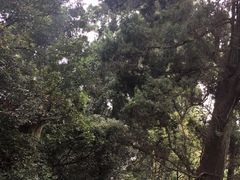 -金堂县云顶石城风景区