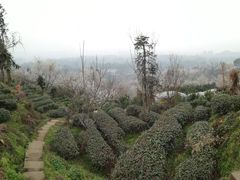 -樱桃山旅游景区