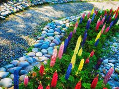 -南通洲际绿博园