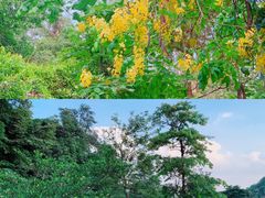-火炉山森林公园
