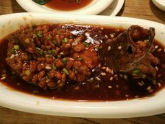 -老太原菜馆(南宫店)