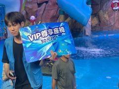 -烟台海昌鲸鲨海洋公园