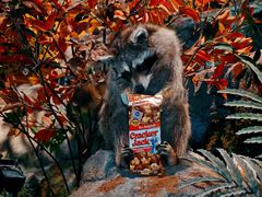 -鄂尔多斯野生动物园