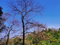 -常德桃花源景区