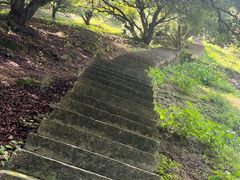 -宁波市保国寺古建筑博物馆