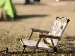 -上海滨江森林公园