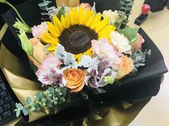 -云朵上的鱼(莘庄店)