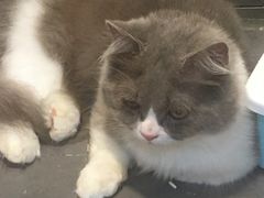 -1013 PET SHOP 宠物商店(近铁城市广场店)