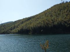 -四明山国家森林公园