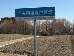 -同里国家湿地公园