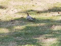 -同济大学(嘉定校区)